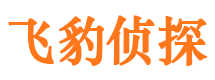 石泉市婚外情调查